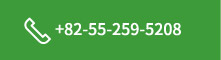 +82-55-259-5208